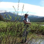 Fly Fishing in Medicine Bow